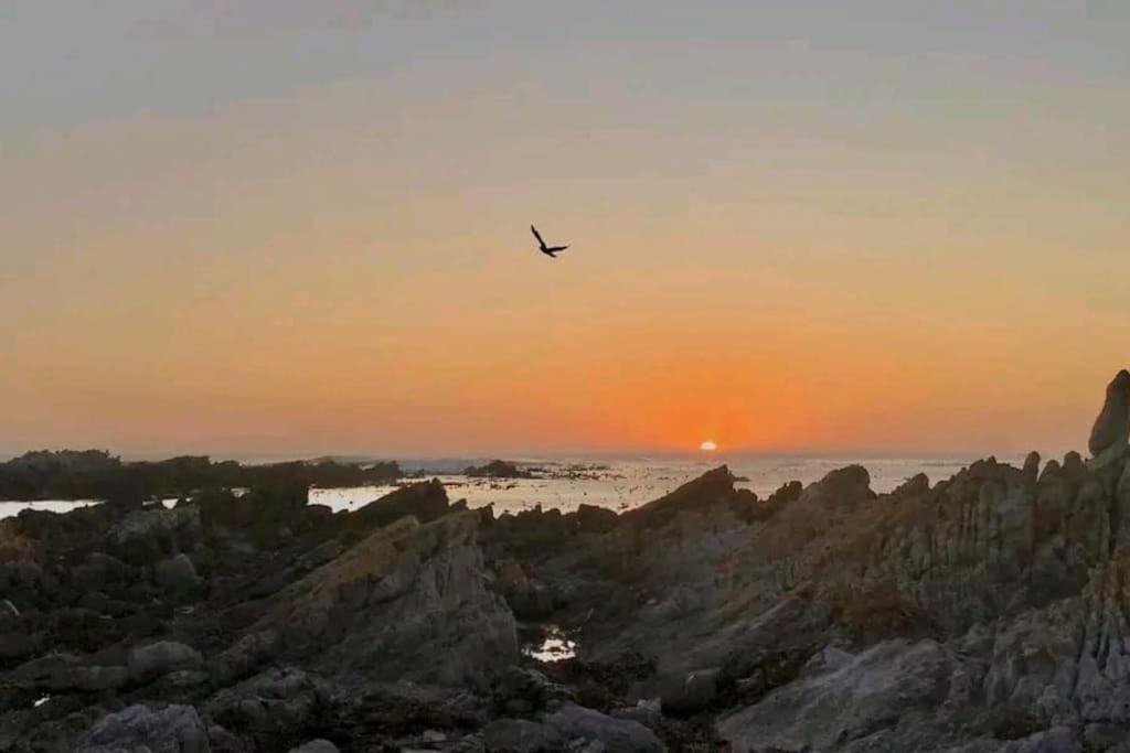 Hermanus Sea View Room Exterior photo